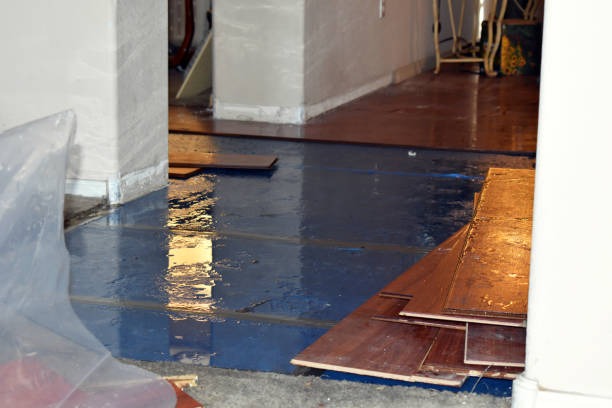 Professional Flood Damage Restoration technician working in Jasper, MN